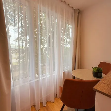 Noir&honey, 10min Walk To Center Apartment Timişoara