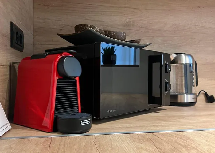 Noir & Honey - 10 Mins Walk To Center 公寓 蒂米什瓦拉