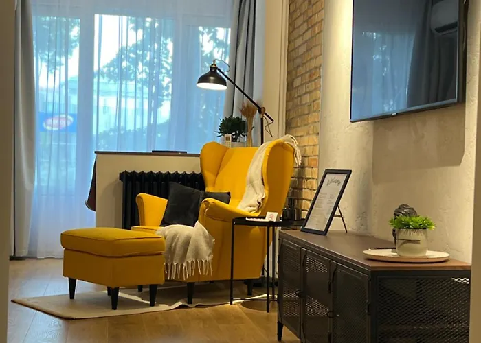 Noir & Honey - 10 Mins Walk To Center 公寓 蒂米什瓦拉